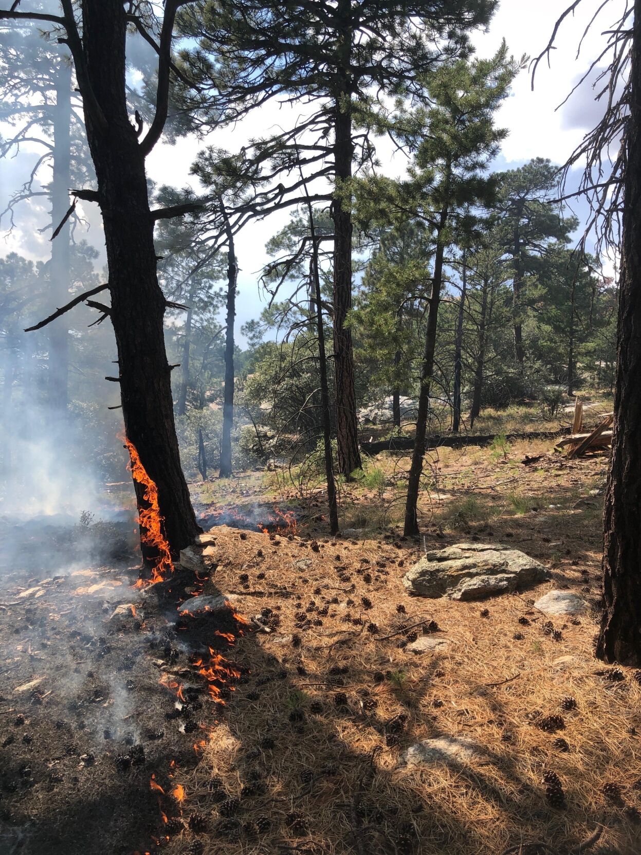 Spud Rock Fire, 2020